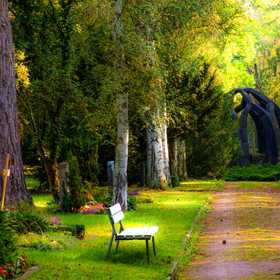 park bench in park